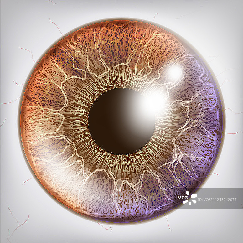 逼真虹膜解剖概念图片素材