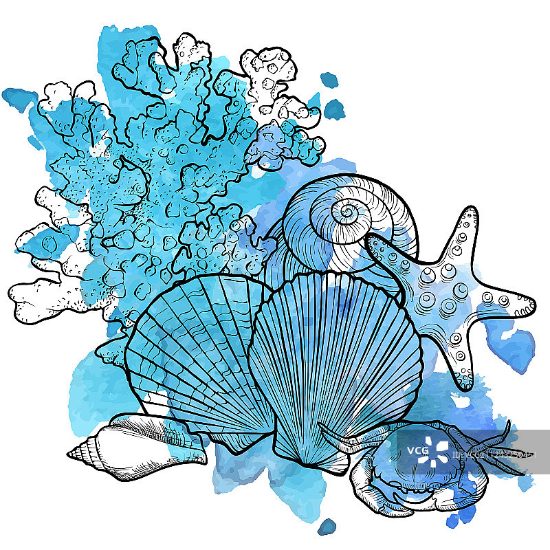 贝壳背景图片素材