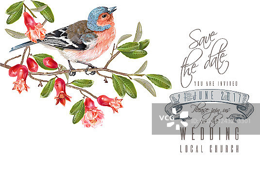 雀鸟石榴枝卡片图片素材