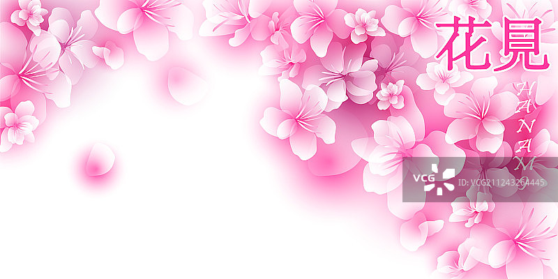 赏花樱花背景图片素材