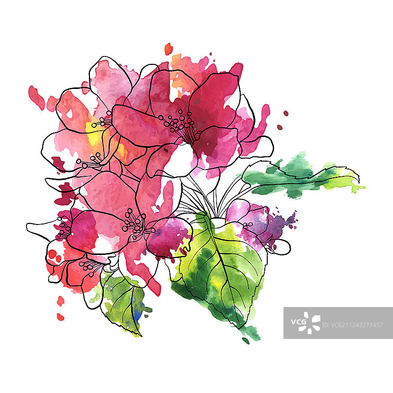 苹果花图片素材