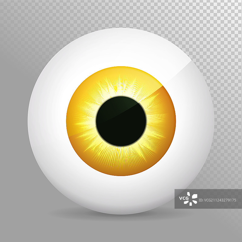 橙色逼真3D眼球虹膜瞳孔图标图片素材