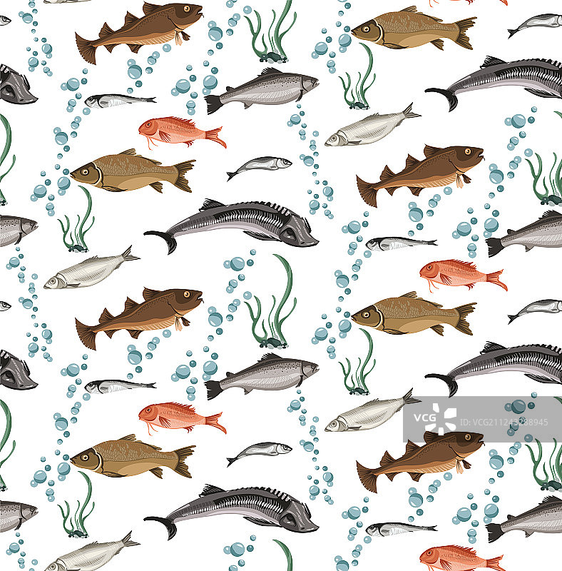 彩色海洋生物无缝图案图片素材