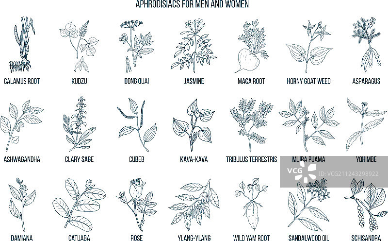 最佳草药催情剂图片素材