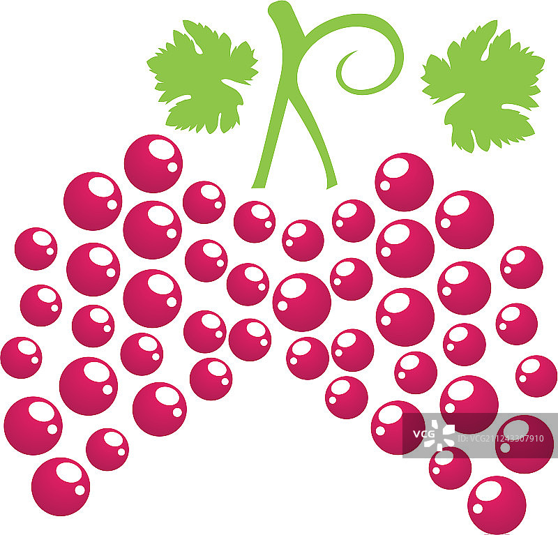 紫色和绿色葡萄图片素材