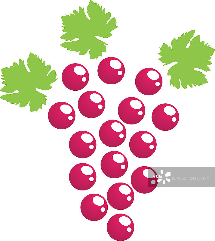 紫色和绿色葡萄图片素材