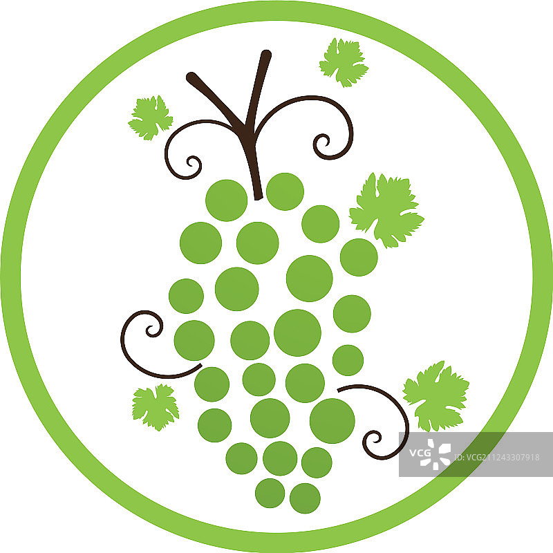 紫色和绿色葡萄图片素材