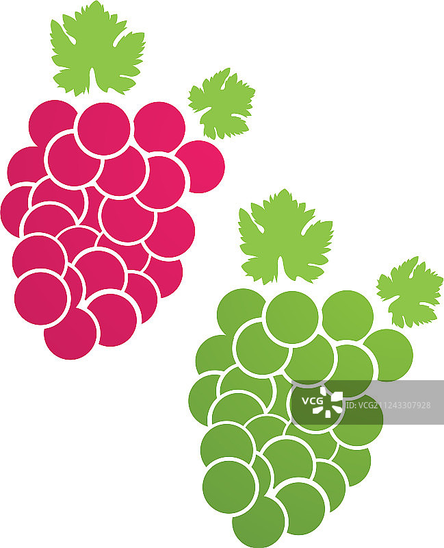 紫色和绿色葡萄图片素材