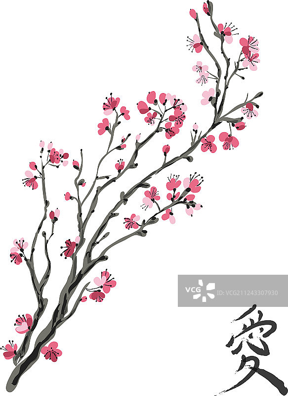 白色背景上的逼真樱花图片素材