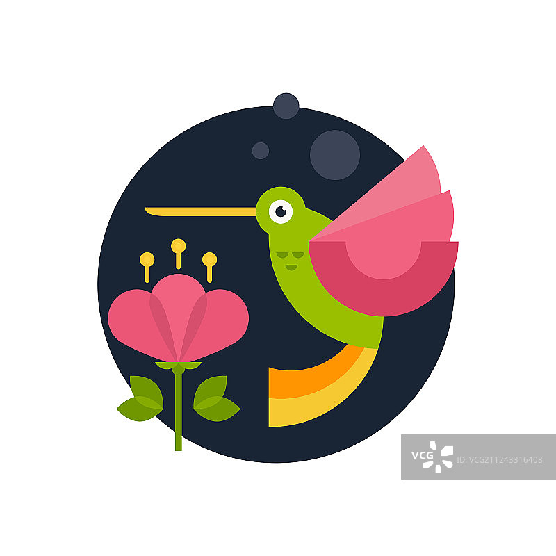 扁平风格小鸟图片素材