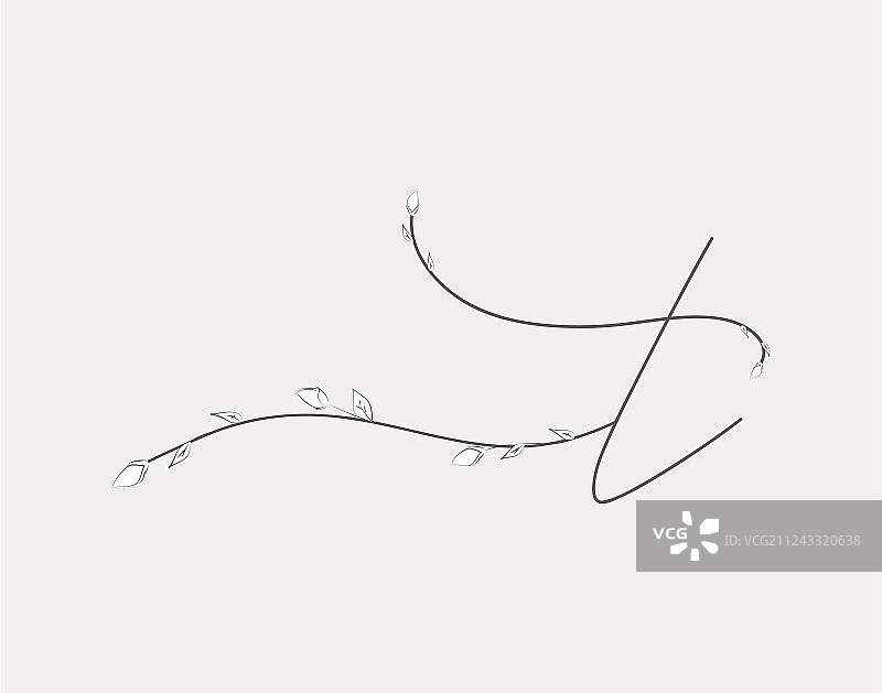 手写字母：花卉T小写字母组合图片素材