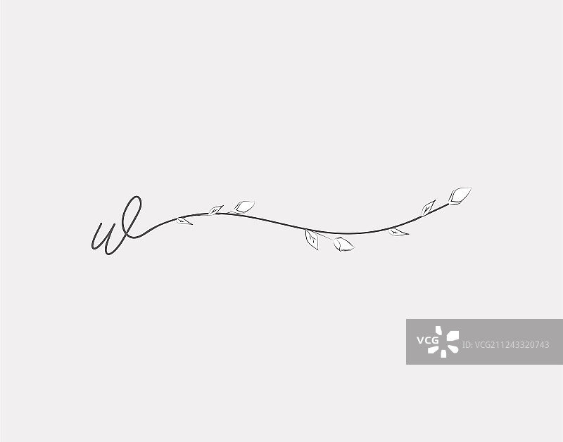 手写花卉小写字母组合W图片素材