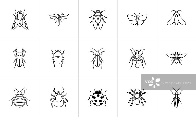 昆虫素描图标合集图片素材