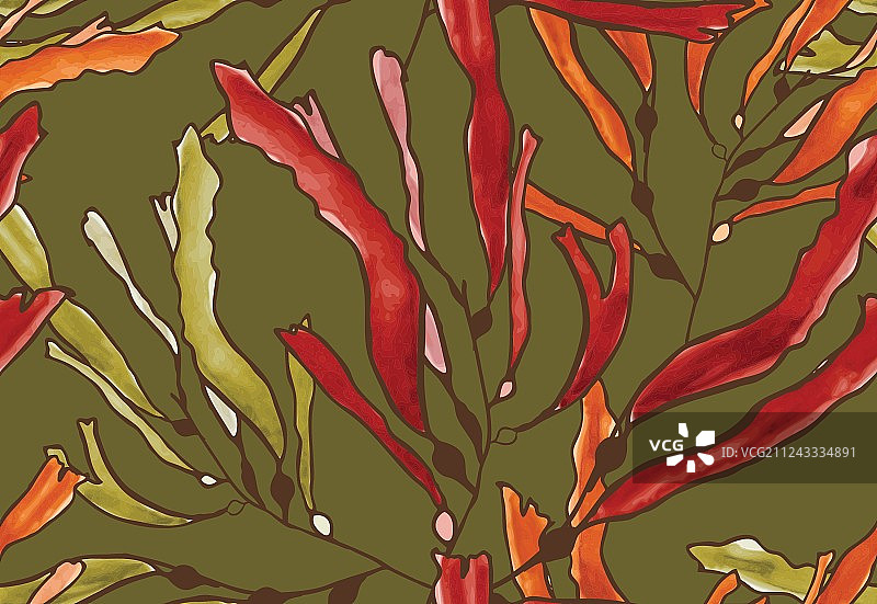 绿色背景上的棕色水彩海带图片素材