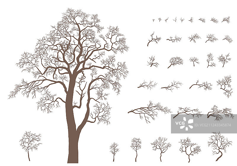 树木树枝素材套装图片素材