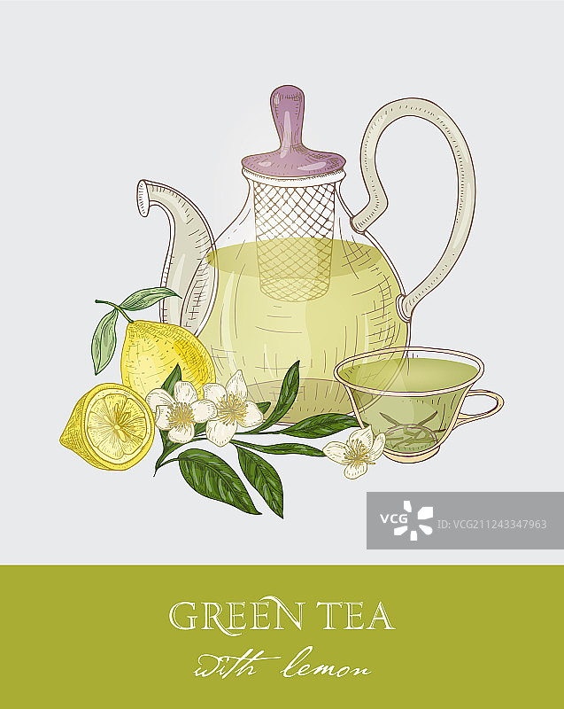 带滤网的彩色茶壶绘画图片素材