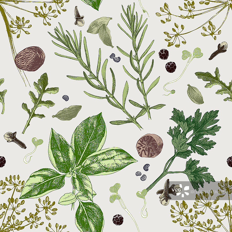 香草和香料无缝图案图片素材