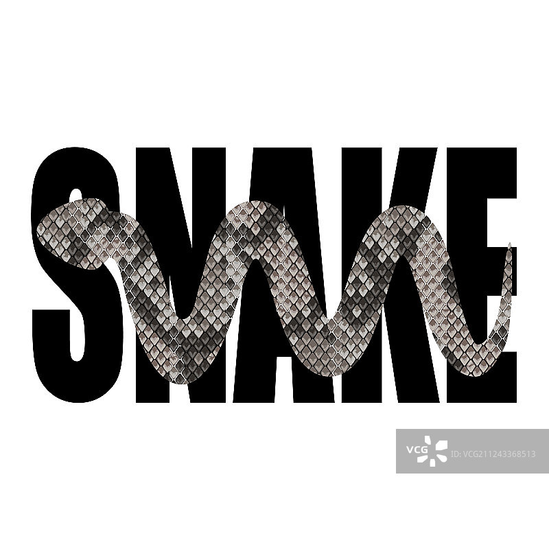 时尚T恤印花与蛇轮廓图片素材