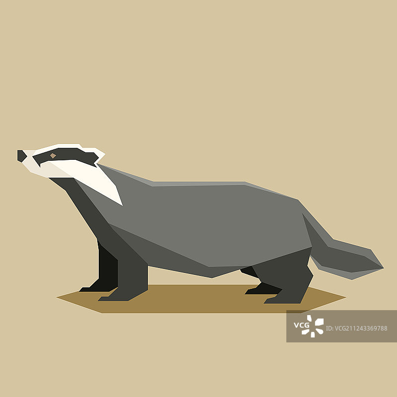 扁平几何风格獾图片素材