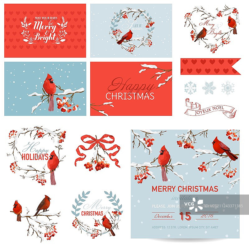 剪贴簿设计元素：复古圣诞鸟类图片素材