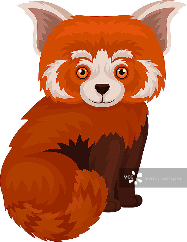 中国小熊猫可爱毛茸茸的野生动物图片素材