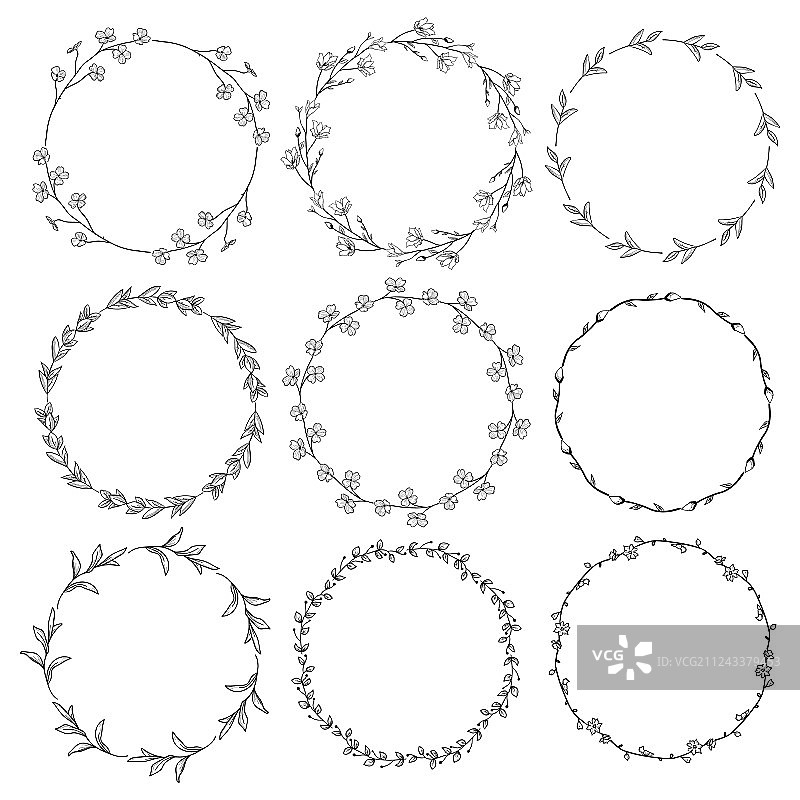 草本植物桂冠花环树枝图片素材