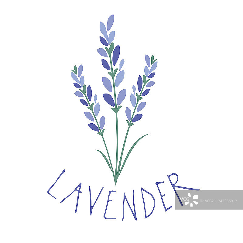薰衣草花标志设计手绘文字图片素材