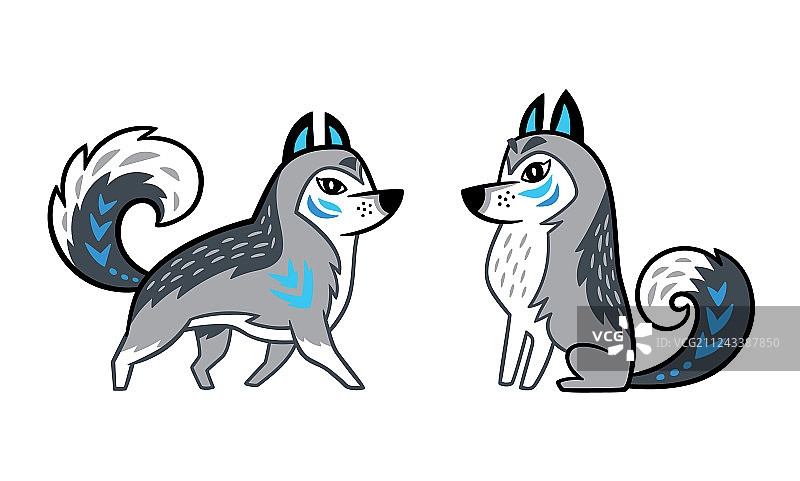 灰色西伯利亚哈士奇犬图片素材