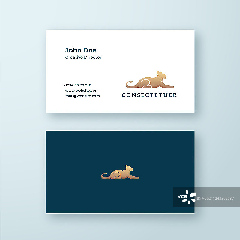 抽象极简符号：躺着的母狮图片素材