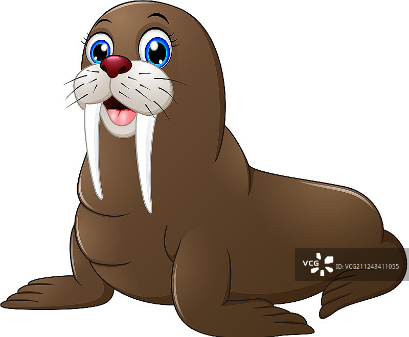 可爱的海象卡通图片素材