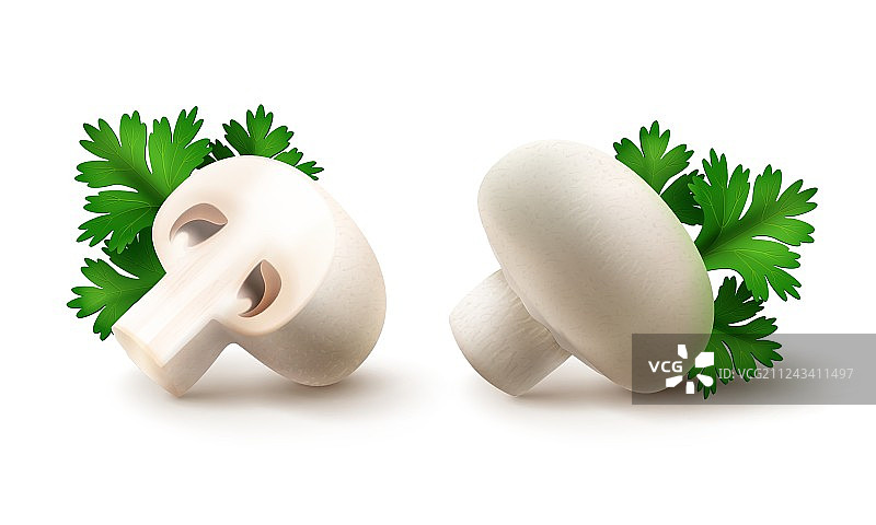 整颗和半颗带欧芹的白色蘑菇图片素材