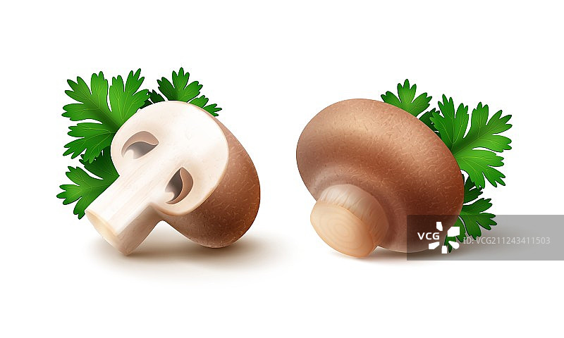 棕色褐菇蘑菇和欧芹图片素材