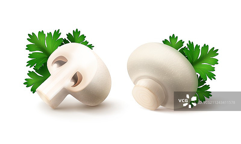 整颗和切片白色蘑菇合集图片素材