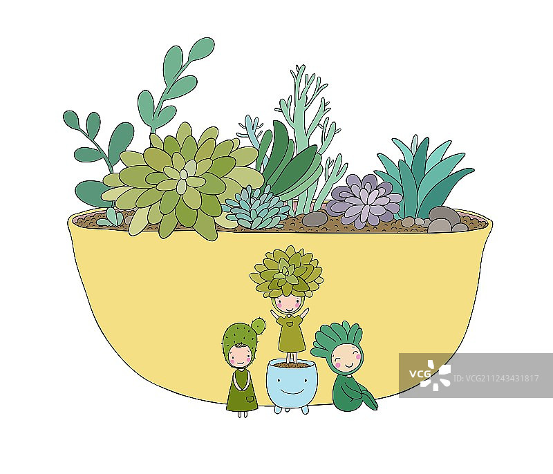 盆栽中的美丽多肉植物小精灵图片素材