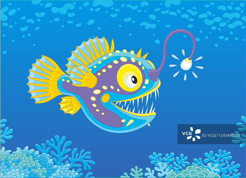 深海捕食的安康鱼图片素材