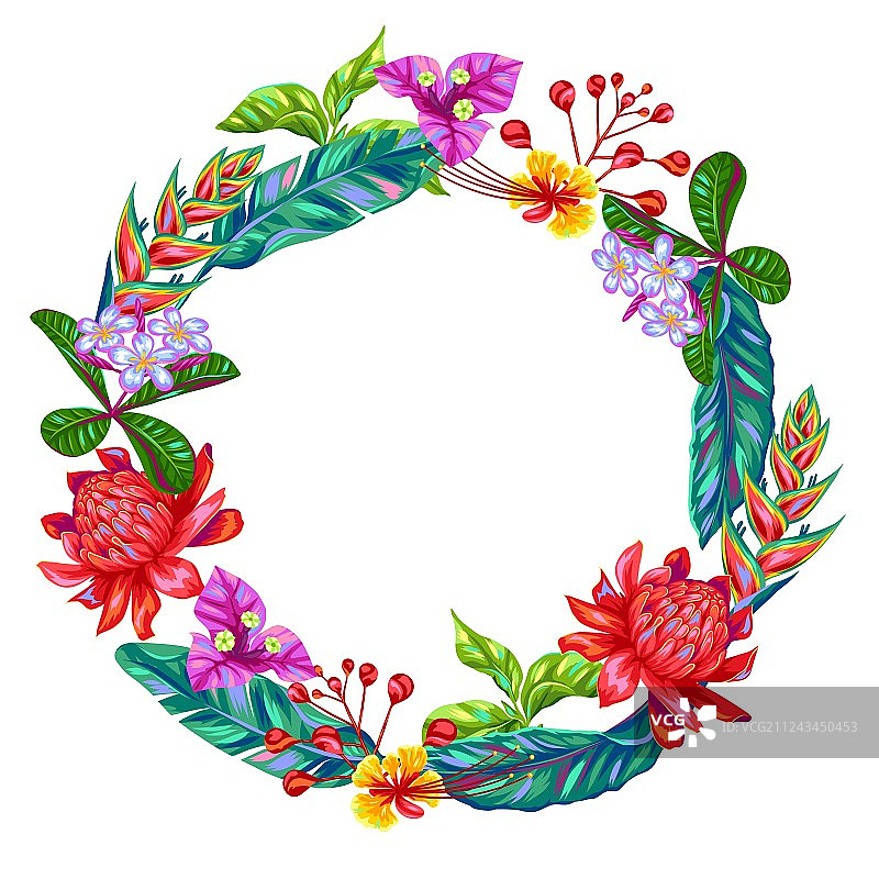 泰国热带鲜花装饰相框图片素材