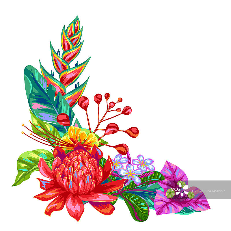 泰国热带花卉装饰品图片素材