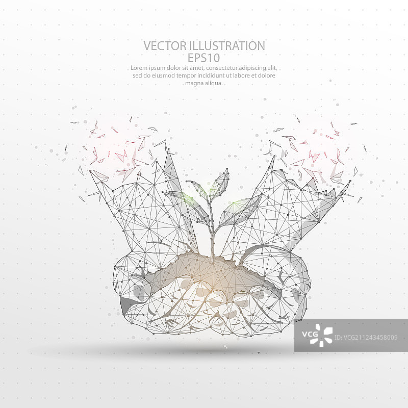 手持数字绘制的低多边形幼苗图片素材