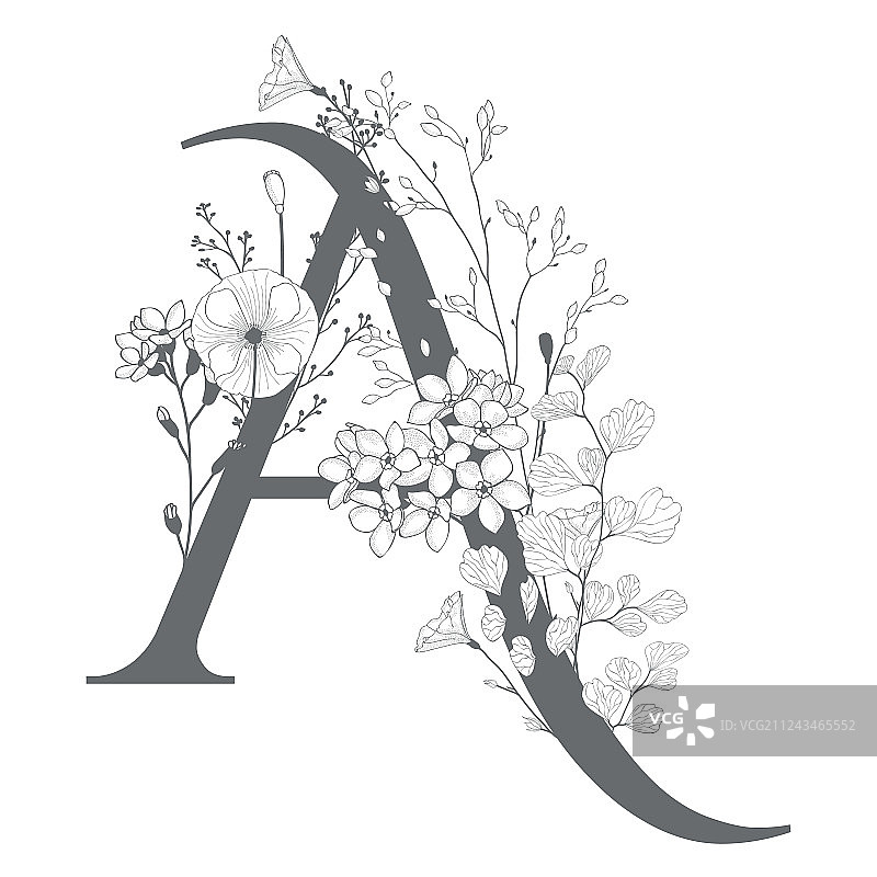 手绘花卉A字母图案和logo图片素材