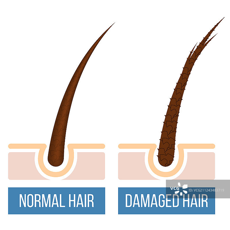 受损发质护理图片素材