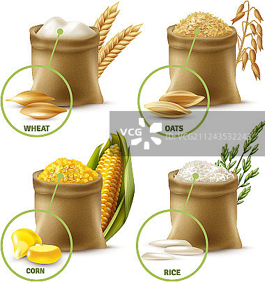 农业谷物集图片素材