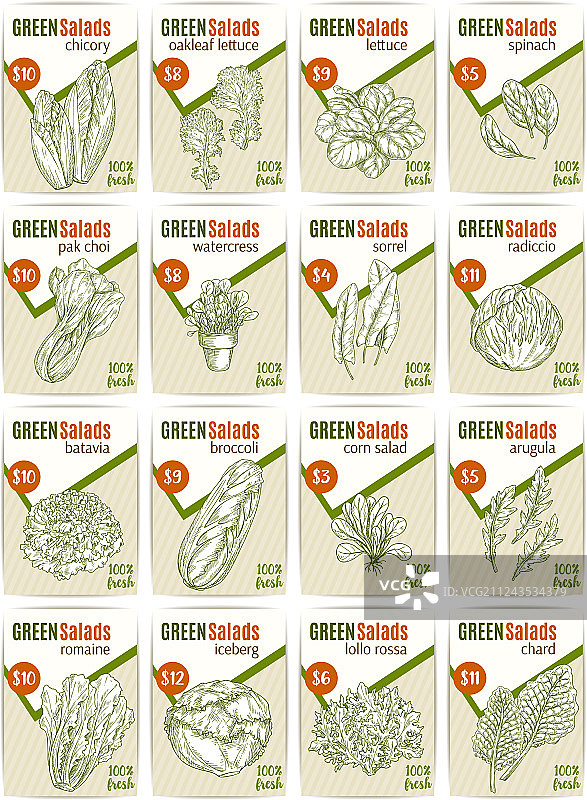 沙拉蔬菜价格卡素描图片素材