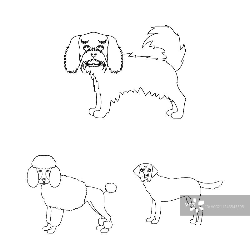 犬品种轮廓图标合集图片素材