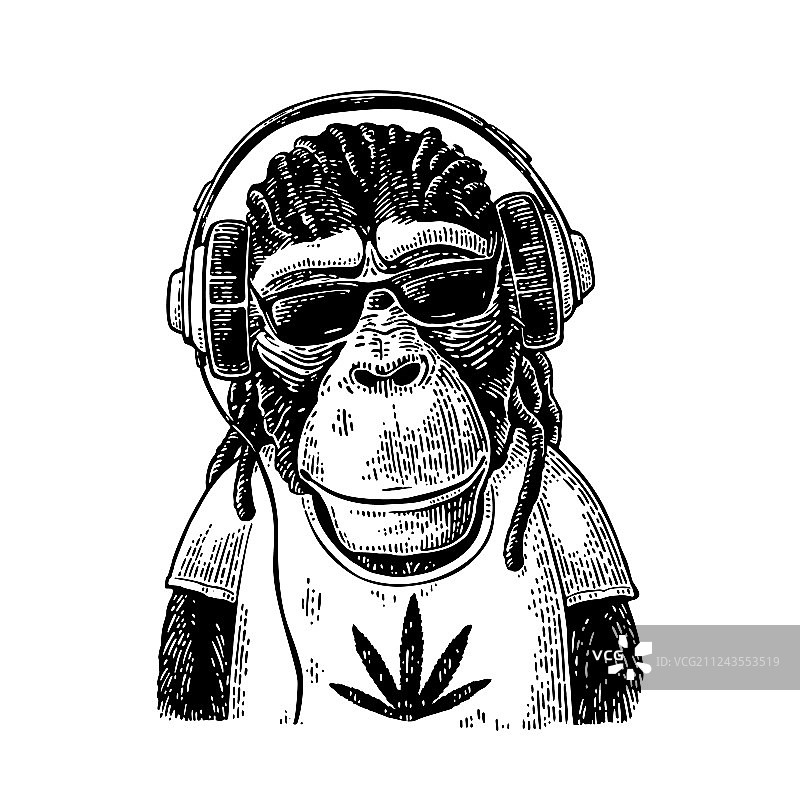 戴着脏辫耳机时髦的猴子图片素材