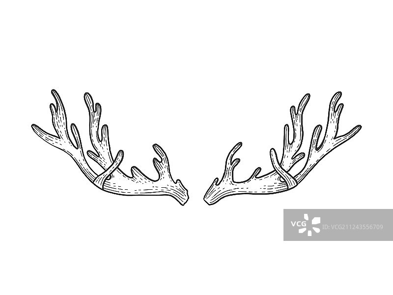 鹿角素描雕刻图片素材