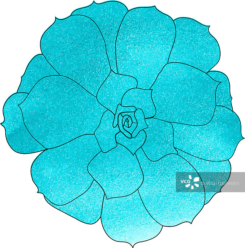 水彩风格石莲花多肉植物俯视图图片素材