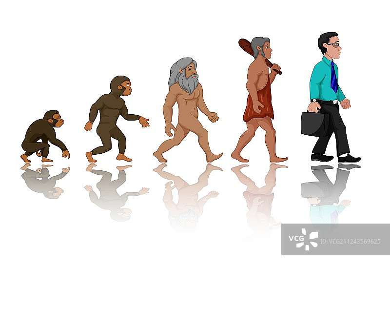 从猿到人的人类进化概念图片素材