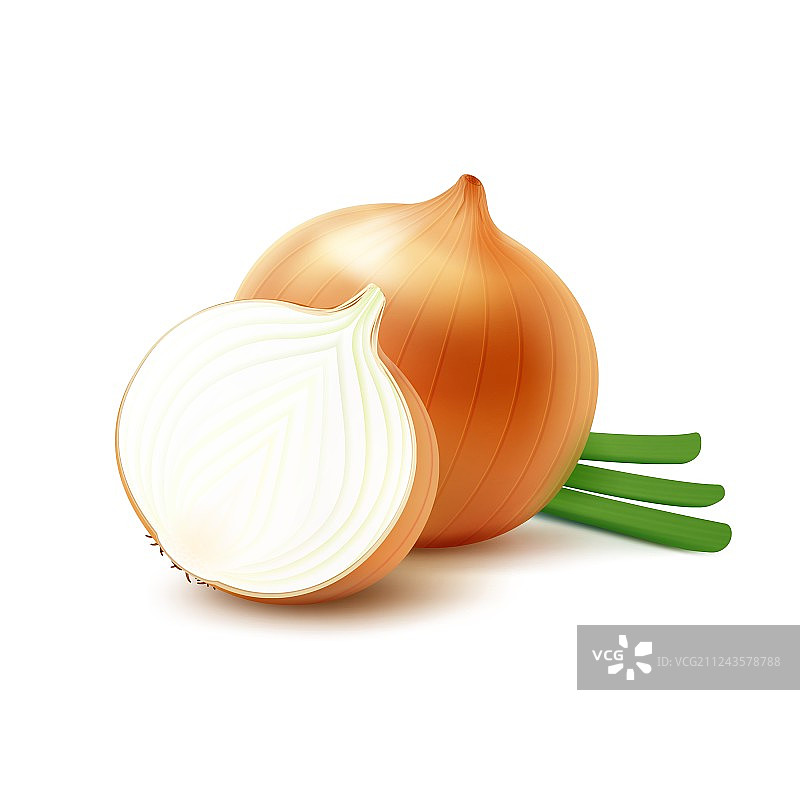 完整黄洋葱与切碎的洋葱图片素材