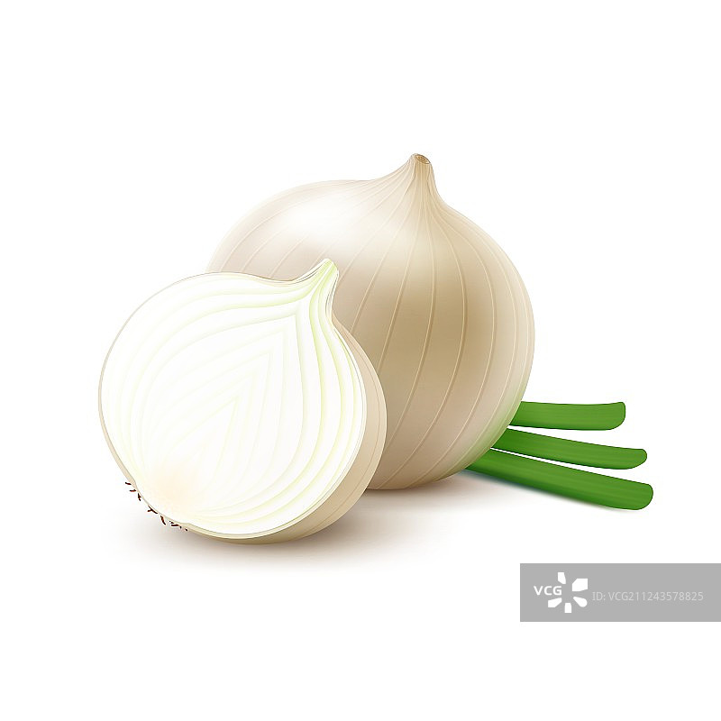 完整、切片的白洋葱和切碎的洋葱图片素材