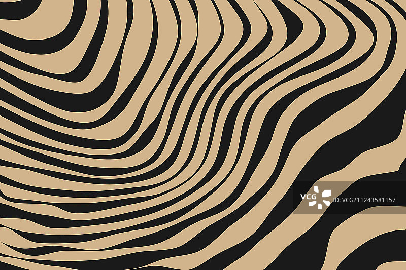 条纹动物图案特写图片素材